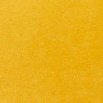 Turmeric-product_swatch