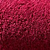 Raspberry-product_swatch